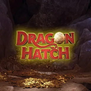 Image for Dragon Hatch