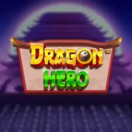 Image for Dragon hero
